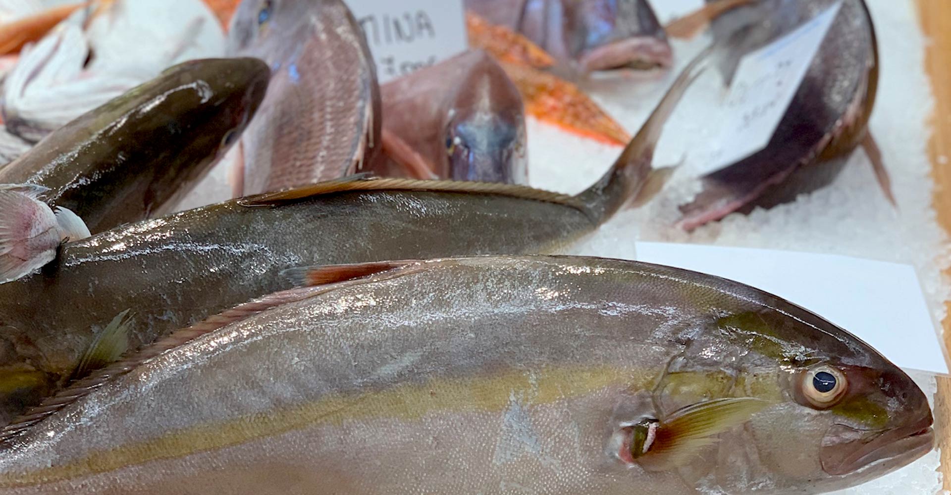 Fish Market
