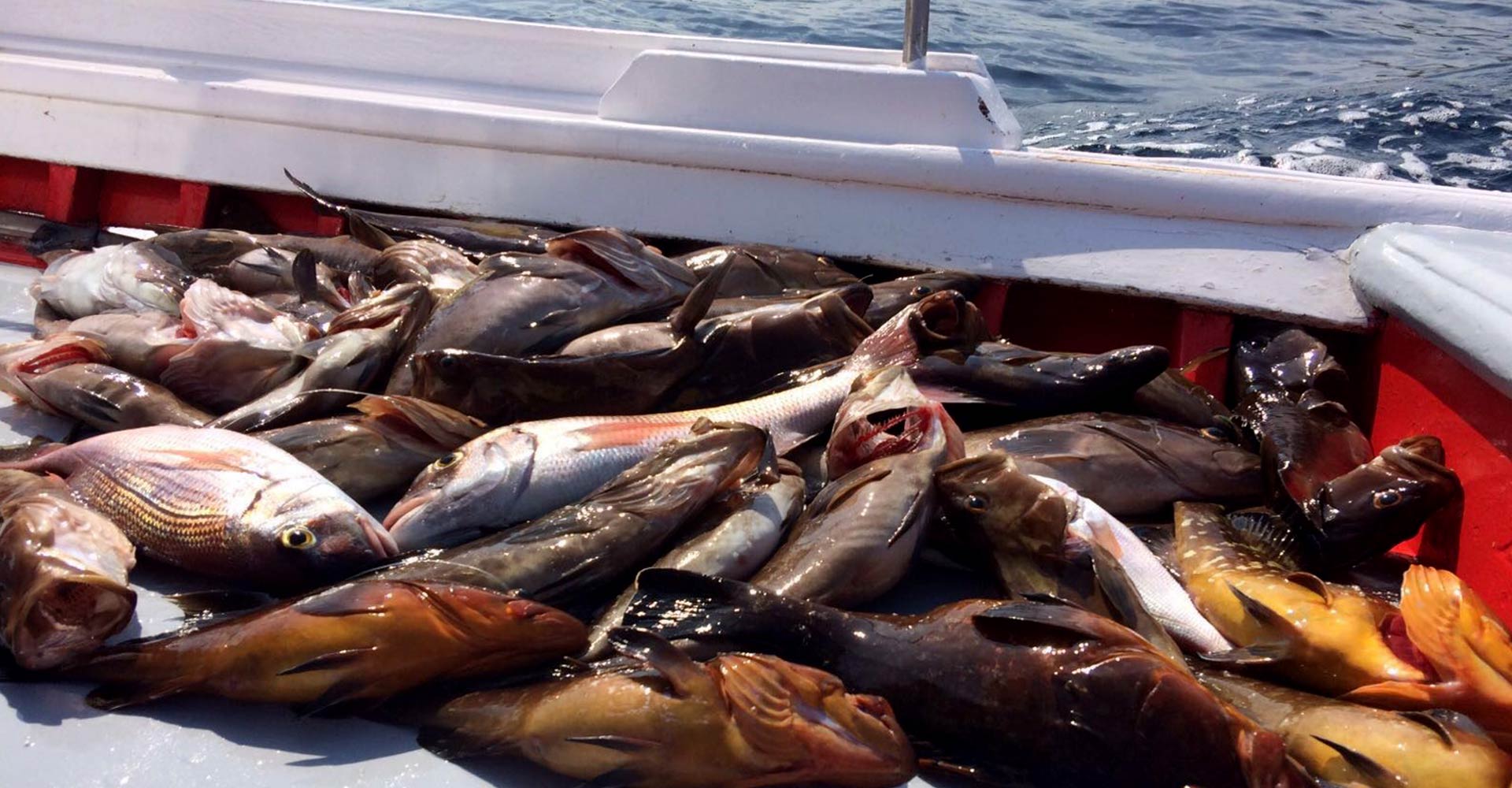 Fish Market
