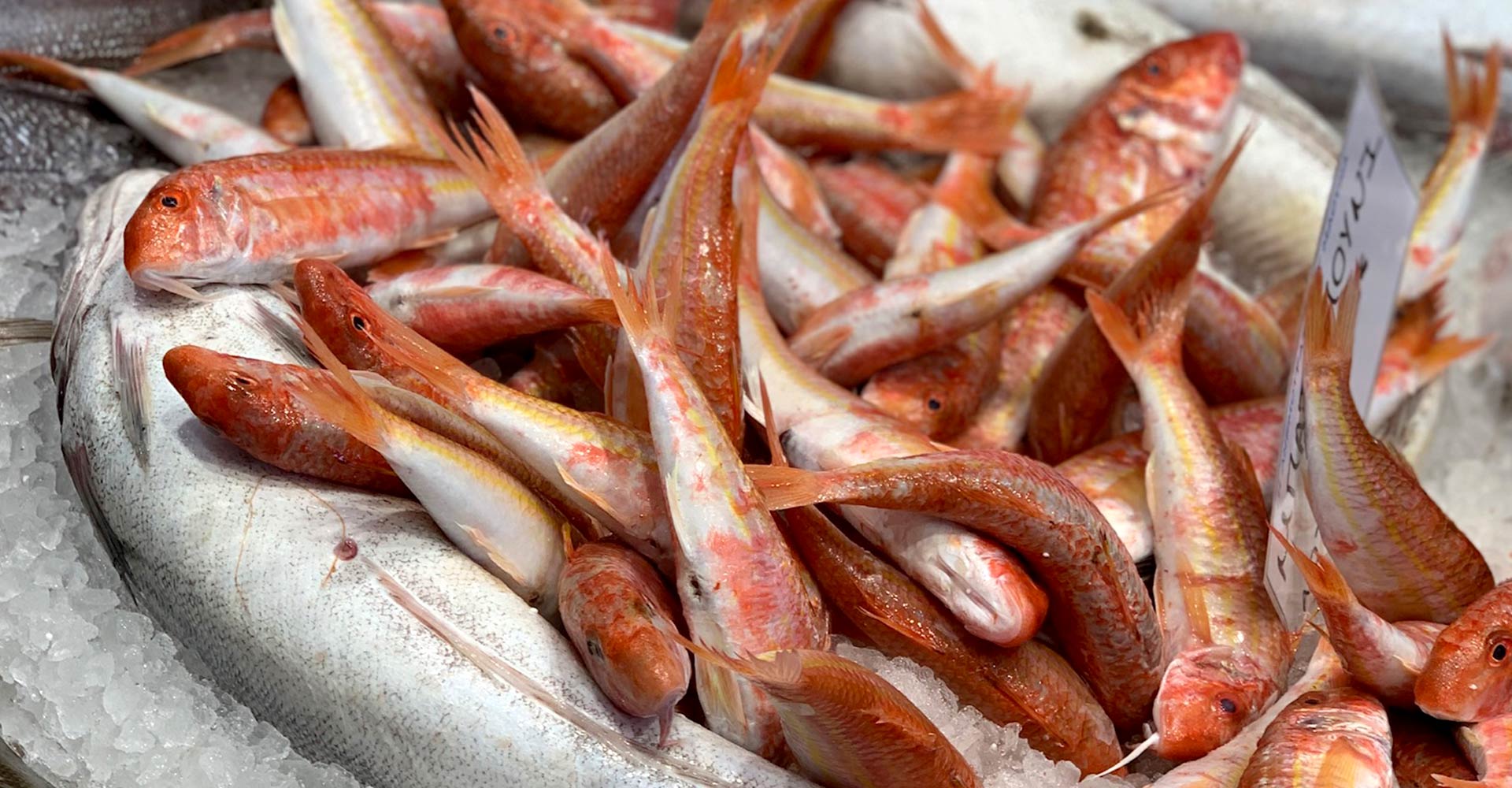 Fish Market