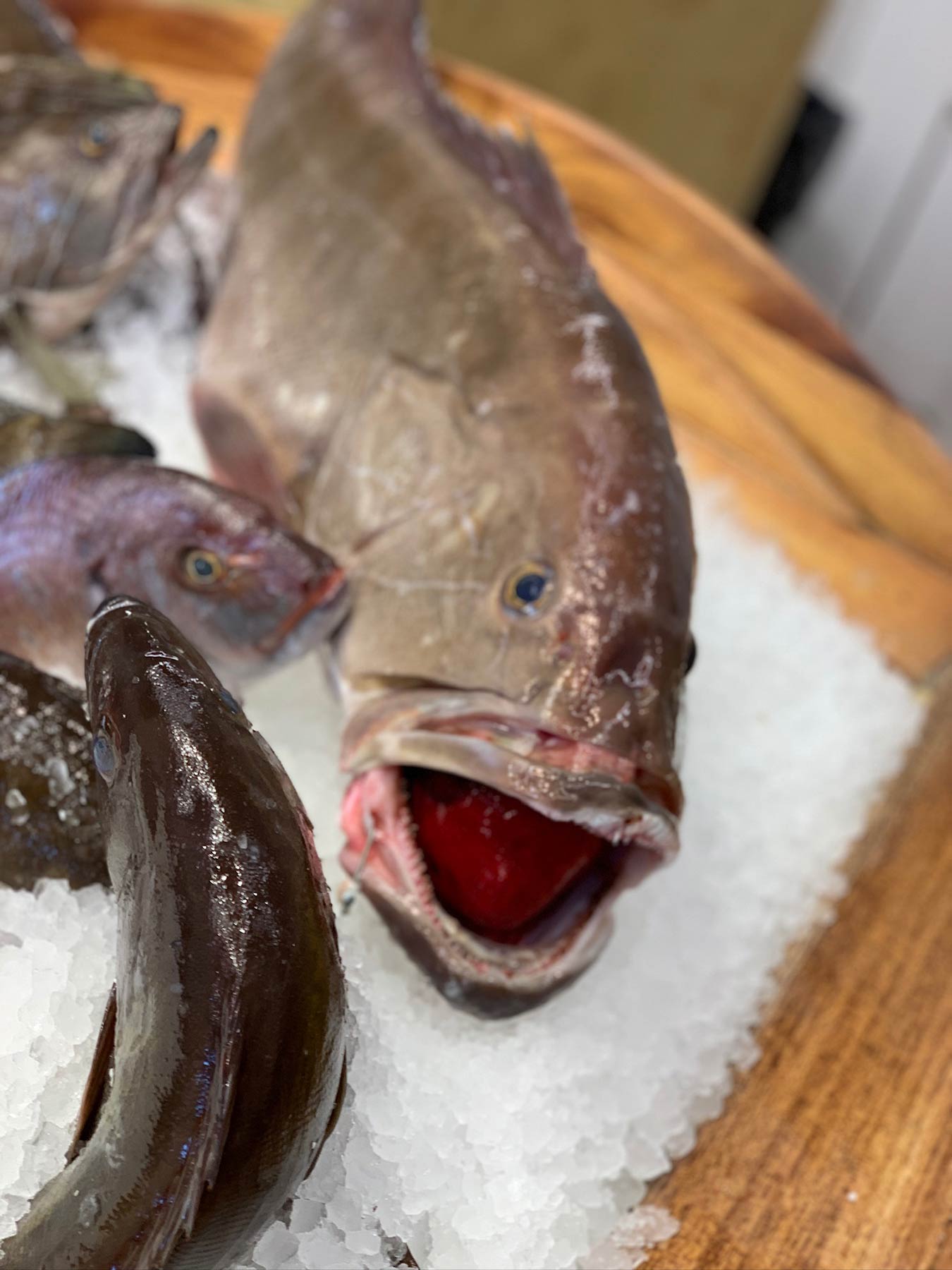 Fish Market