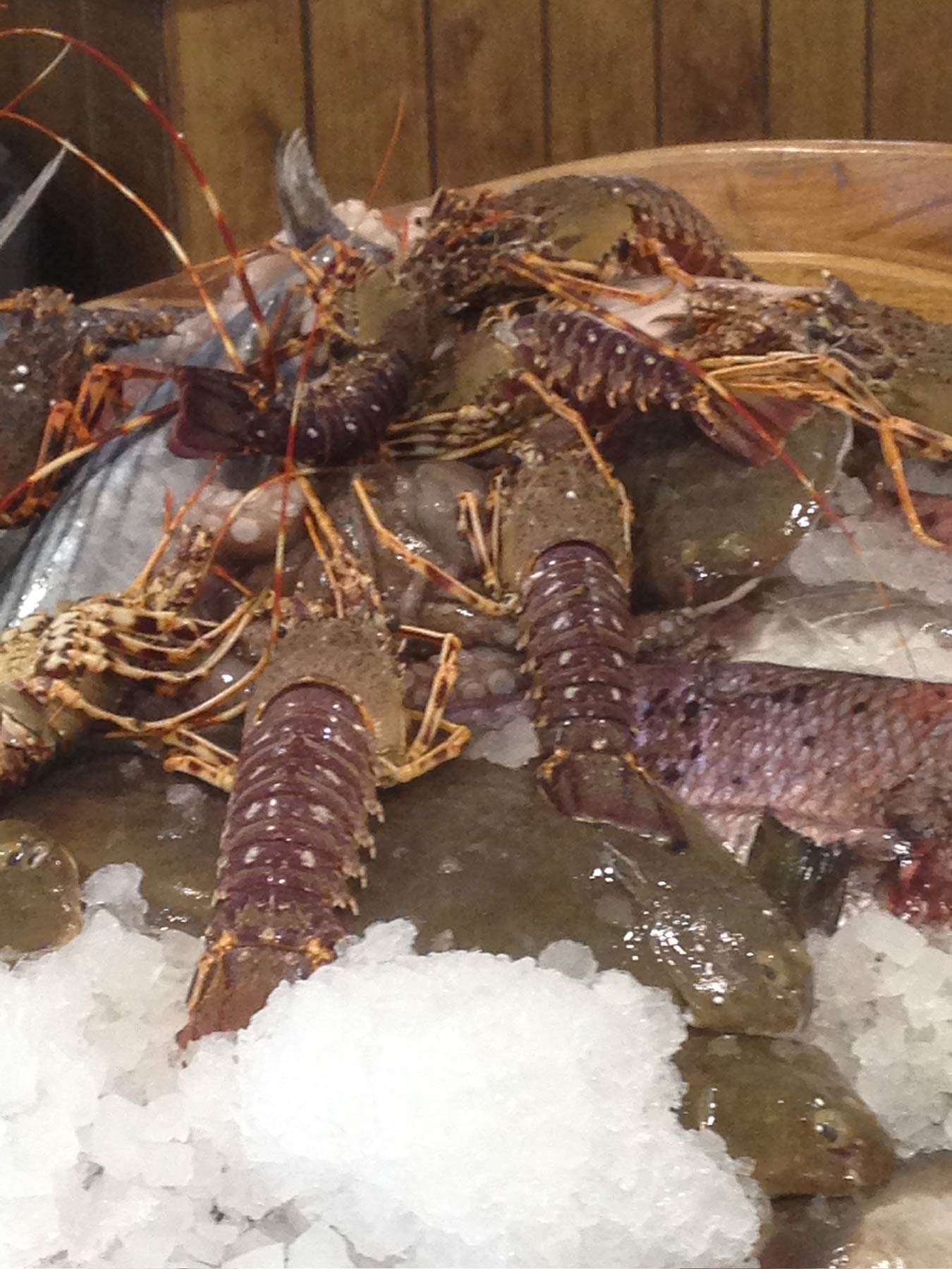 Fish Market