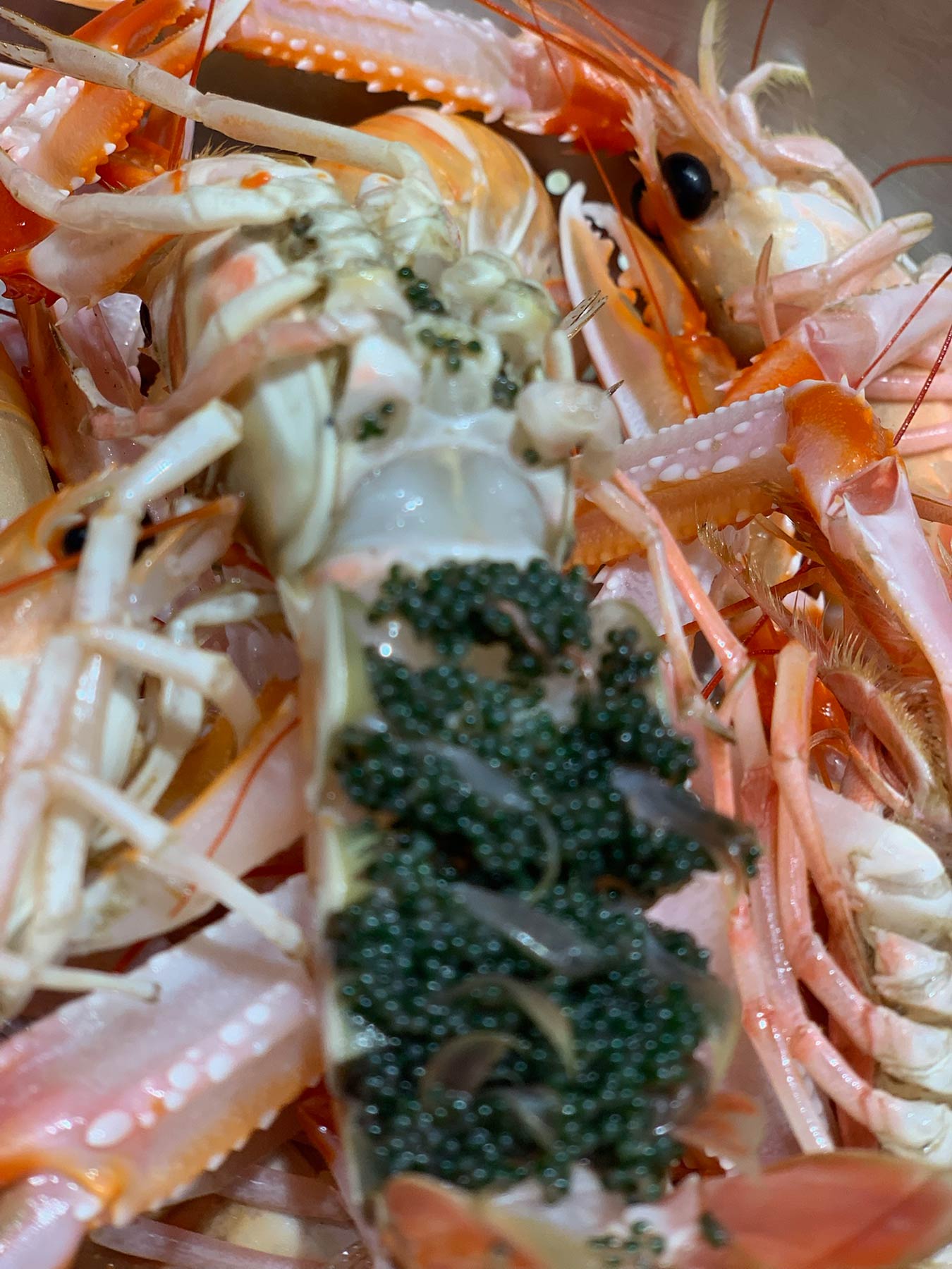 Fish Market