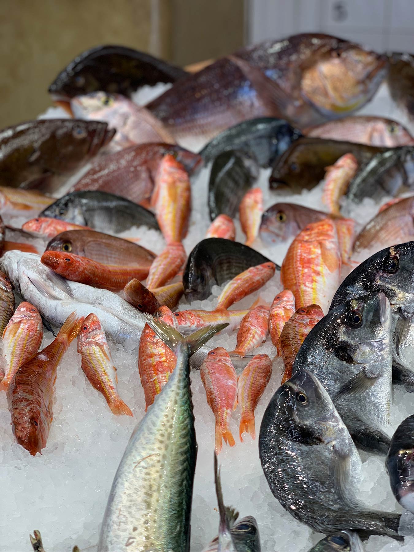 Fish Market
