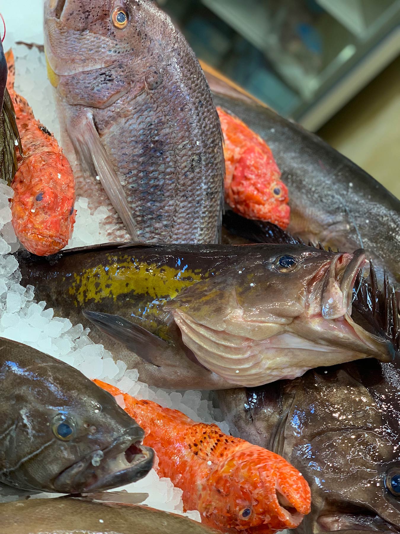 Fish Market