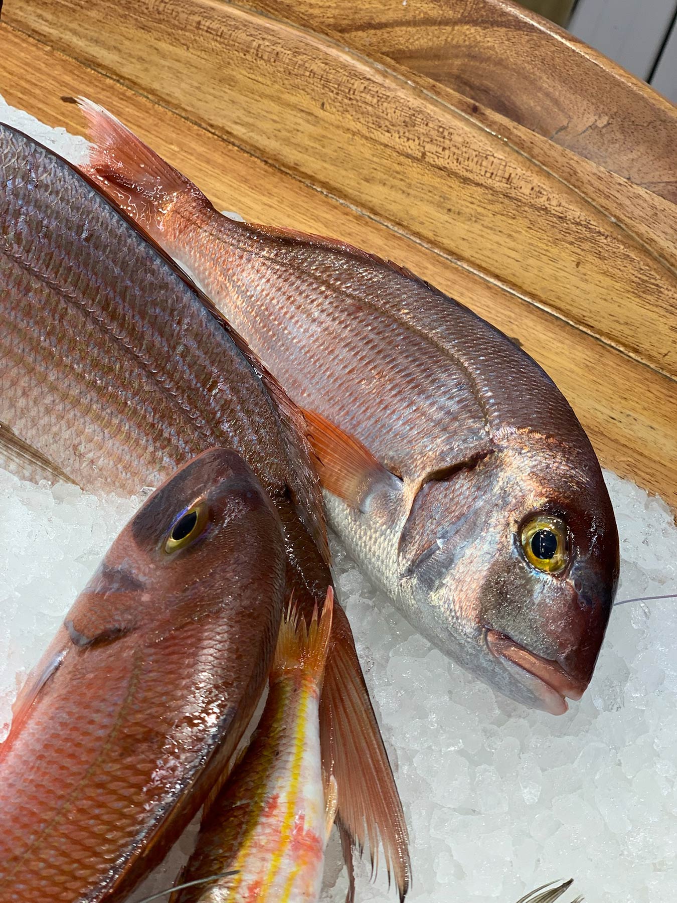 Fish Market