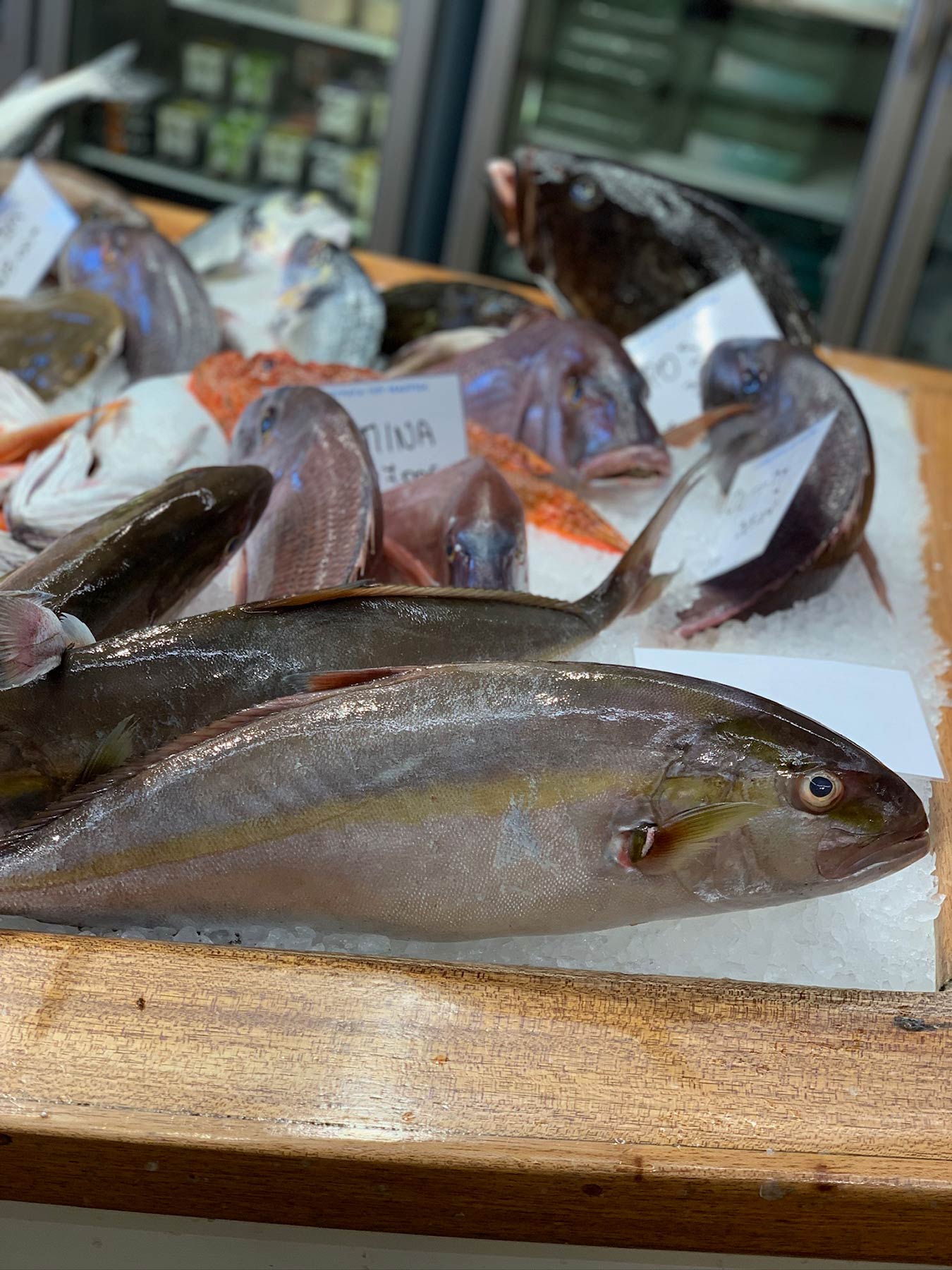 Fish Market