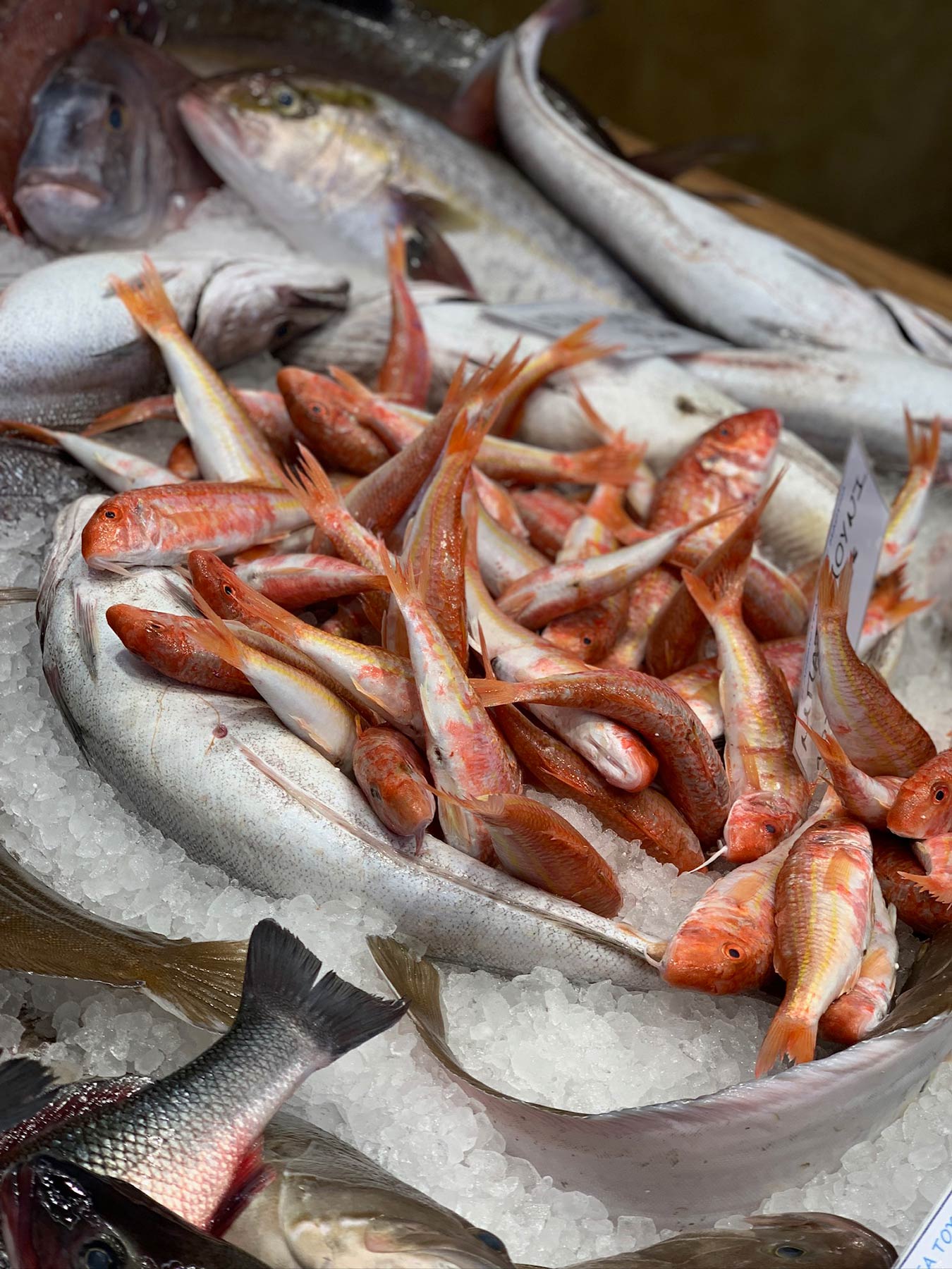 Fish Market