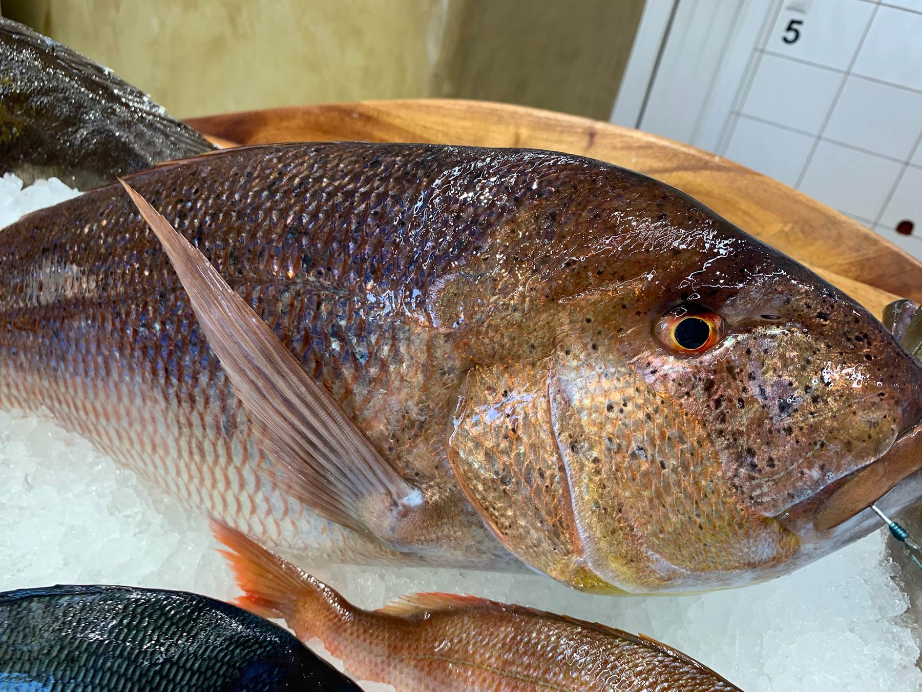 Fish Market