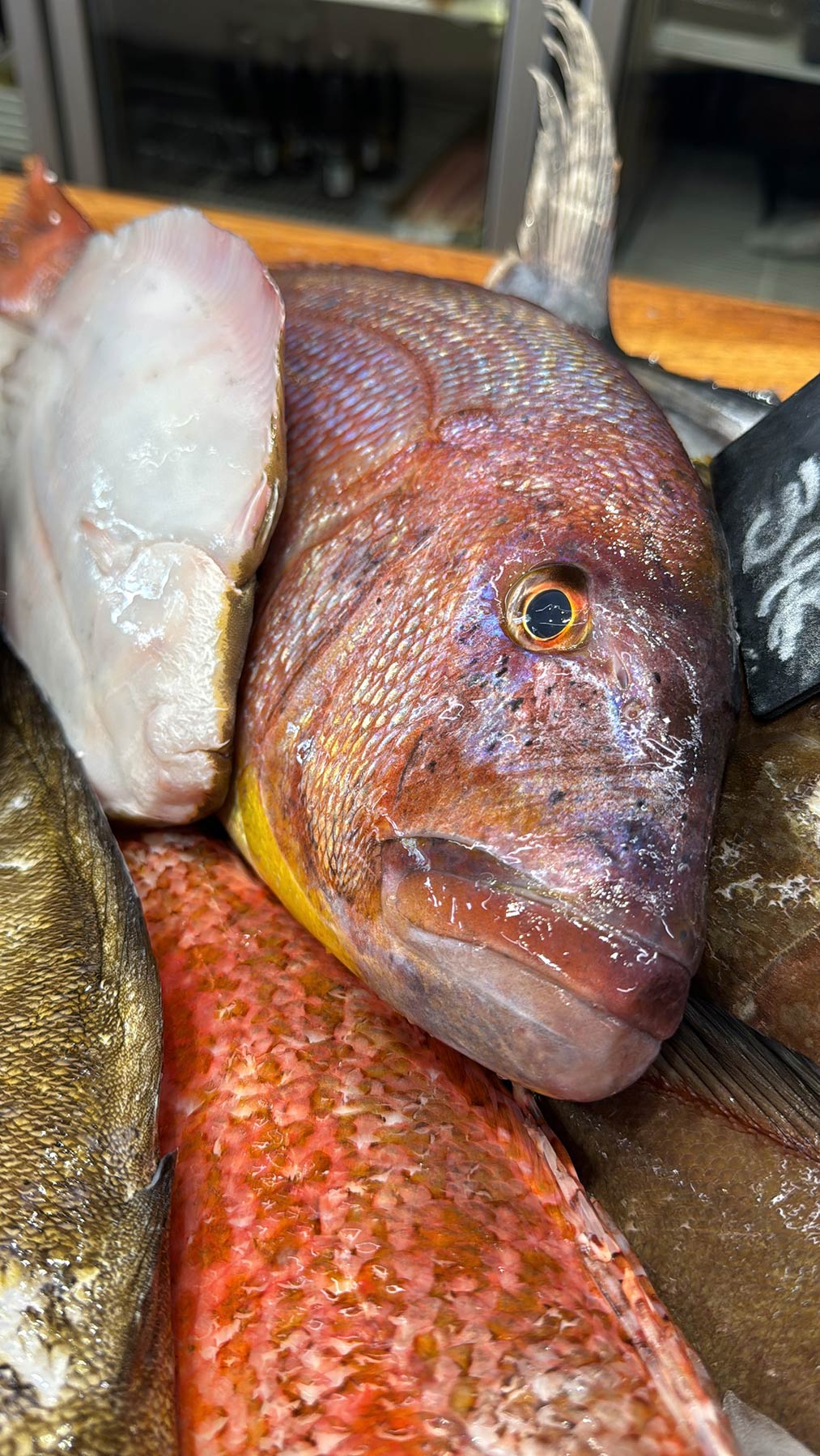 Fish Market