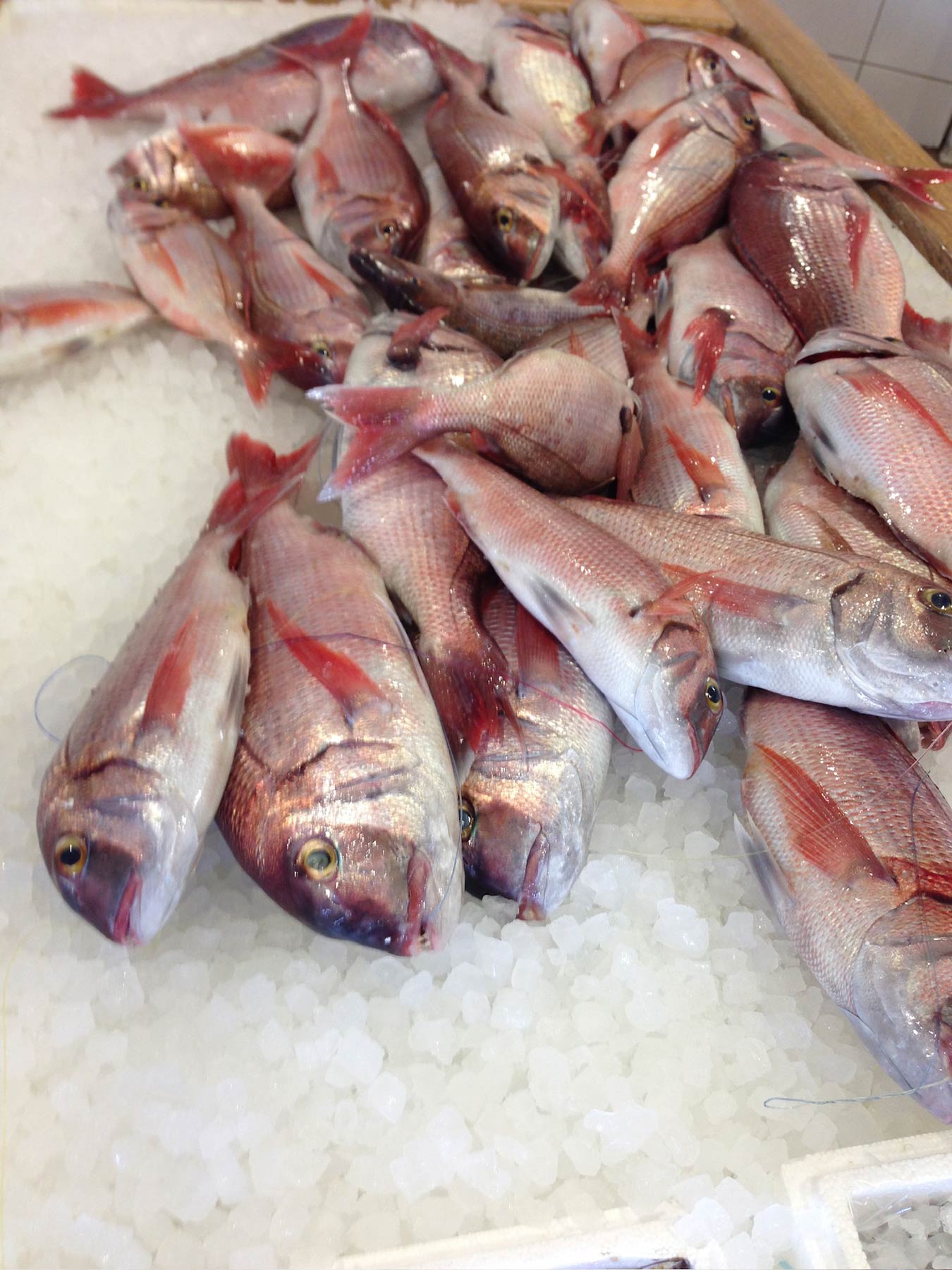 Fish Market